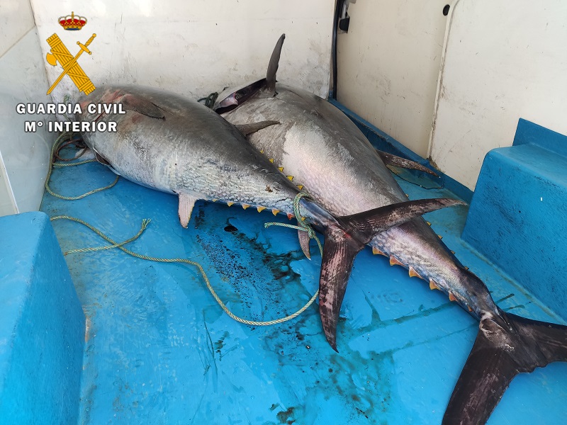 ATUNES MARBELLA PESCA ILEGAL 11 MAYO 20 2