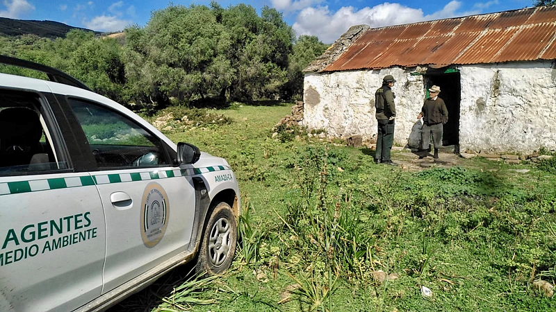 Agentes Medio Ambinete actuación Covid4png