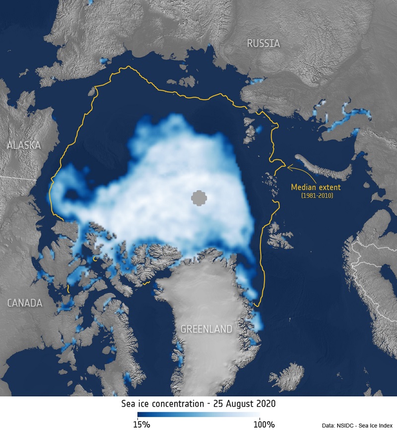 Arctic sea ice concentration 25 August 2020