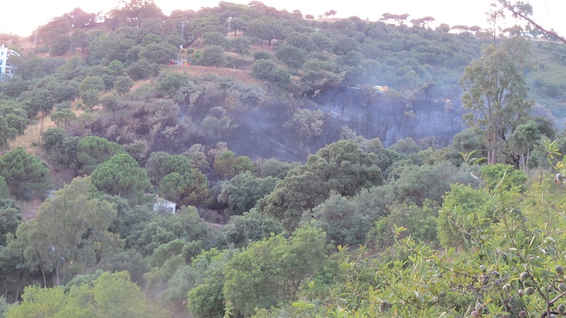 CASARES INCENDIO 29 JUNIO 20 2