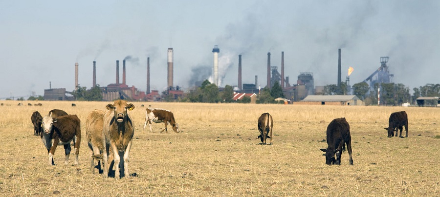 CONTAMINACIÓN POLUCIÓN GASES 01