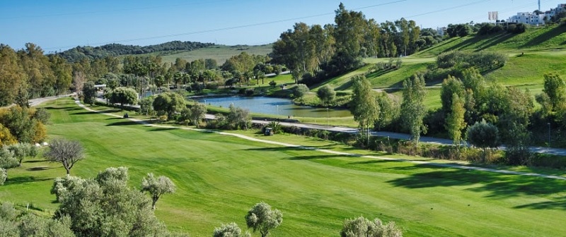 GREEN GOLF TAYLOR W
