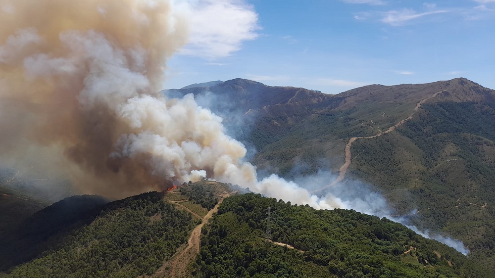 INCENDIO PUJERRA BENAHAVÍS 01 08 JUNIO 22