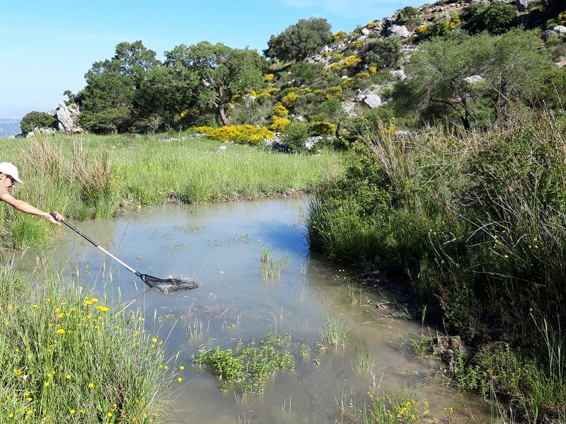 Laguna Villanueva del Rosario