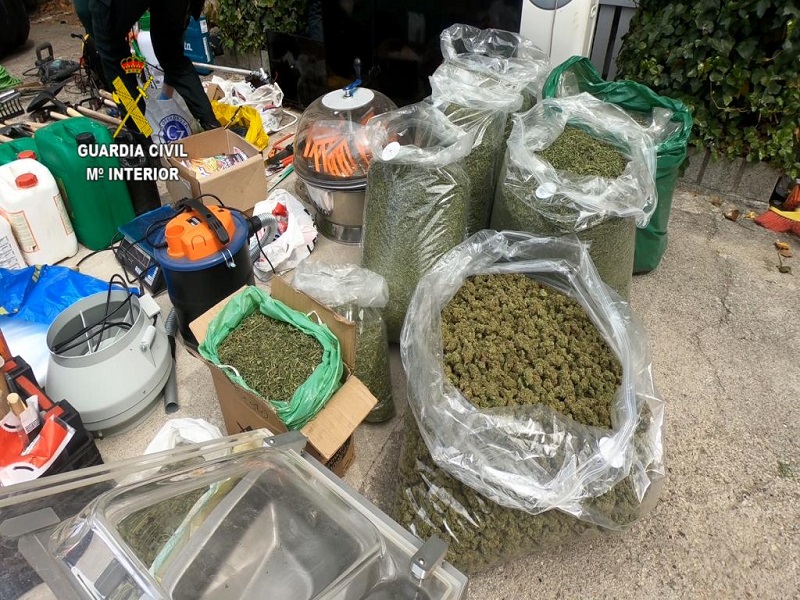 MARIHUANA 16 ABRIL 20