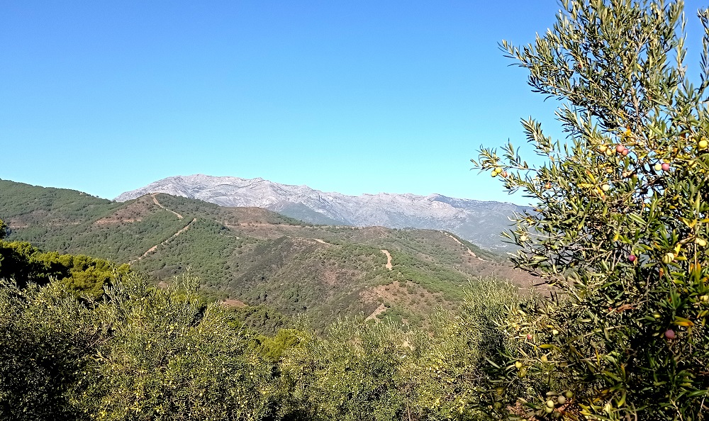 SIERRA DE TOLOX 11 ABRIL 22