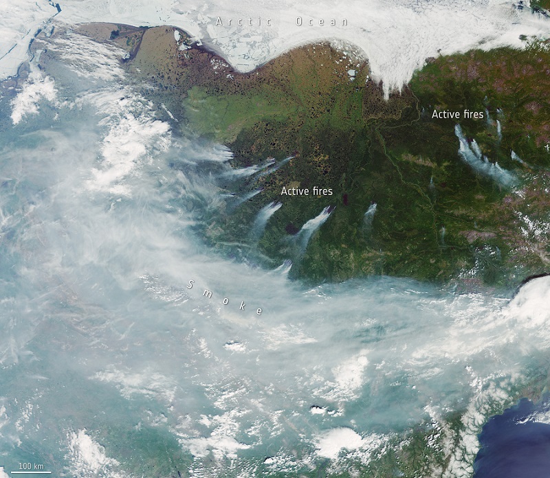 Siberia wildfires