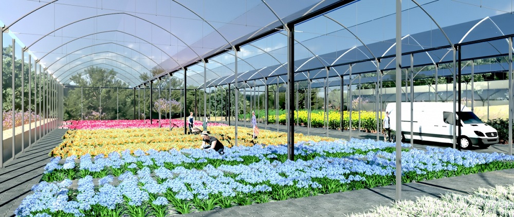 VIVERO PROYECTO LAS CHAPAS 17 ABRIL 22