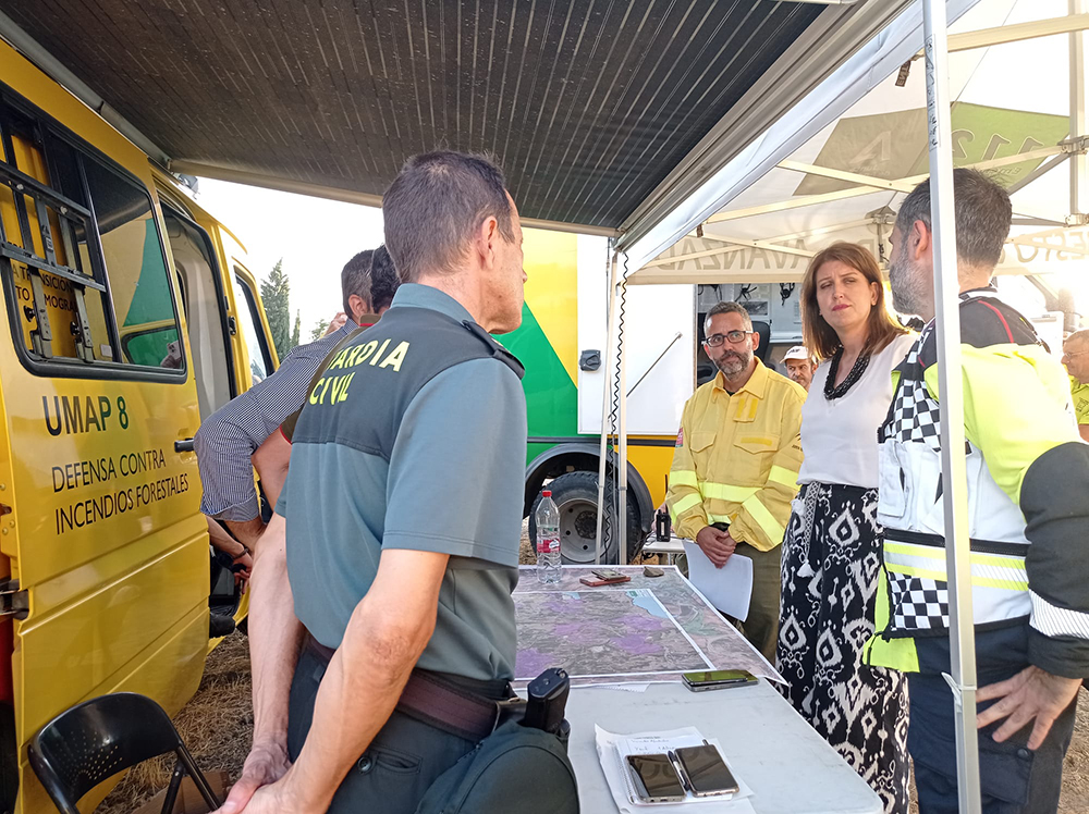 Visita delegada 06