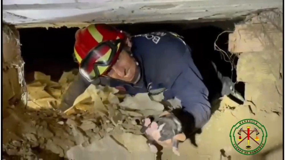 bomberos 2