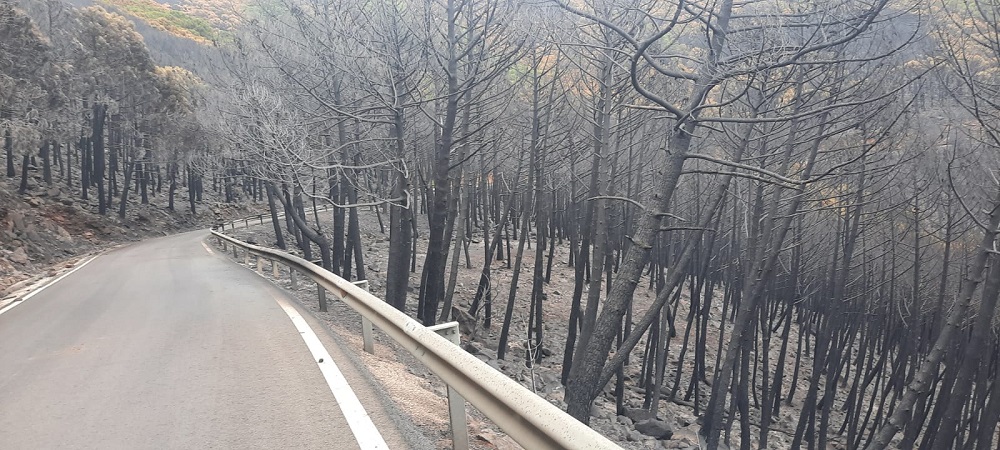 carreteras afectadas incendio sierra bermeja 12
