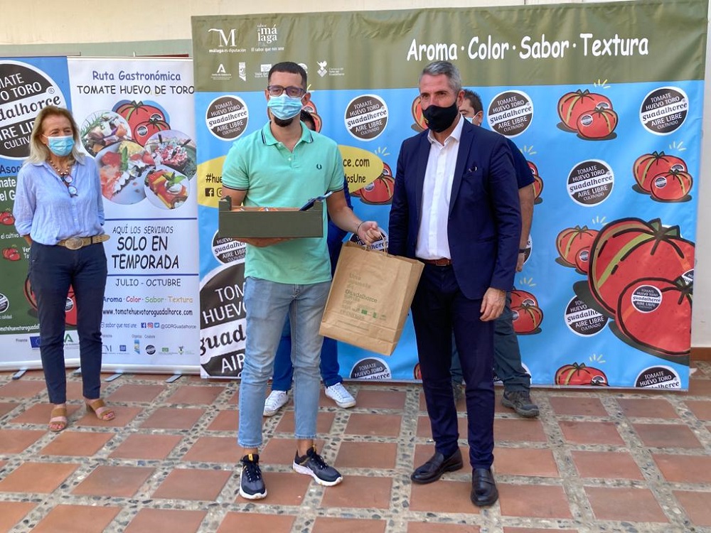 concurso toamte 1