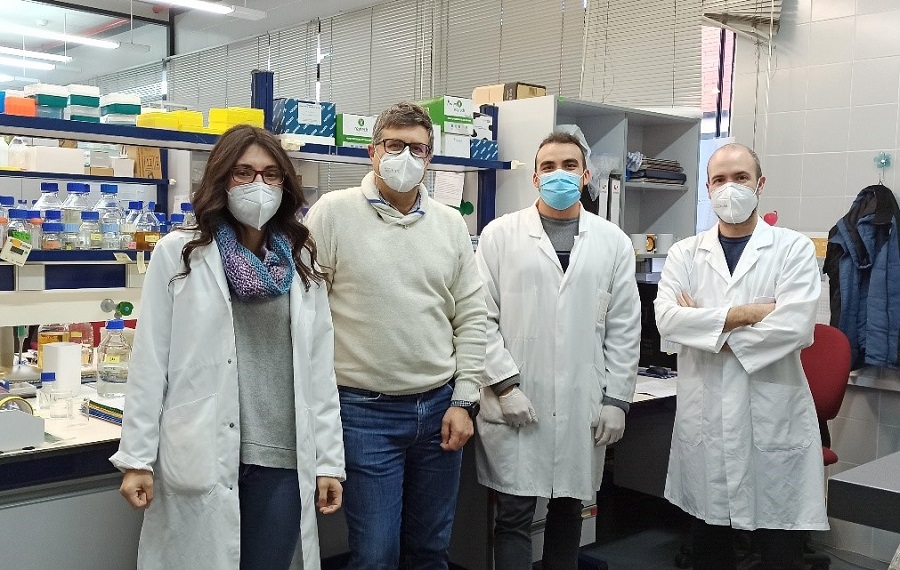 equipo