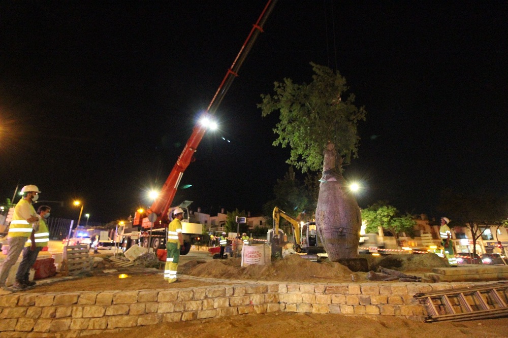 glorieta Mateo Álvarez Gómez remodelación 01 22 agosto 21