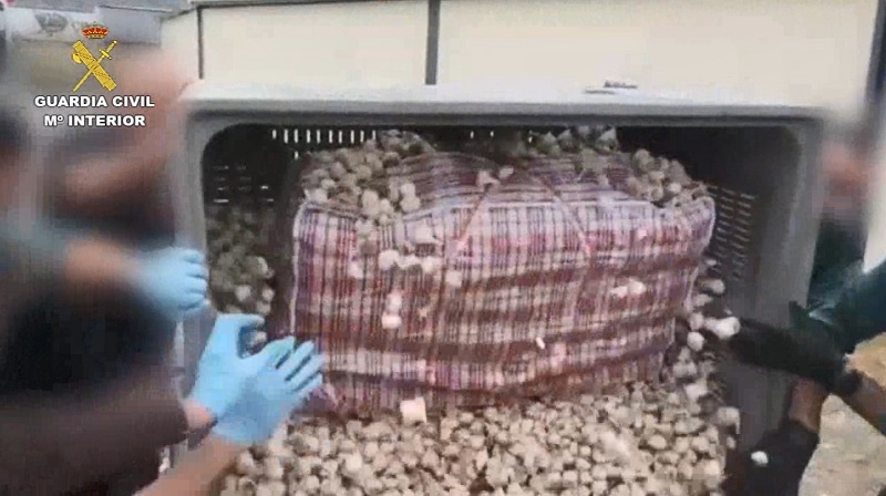 málaga droga