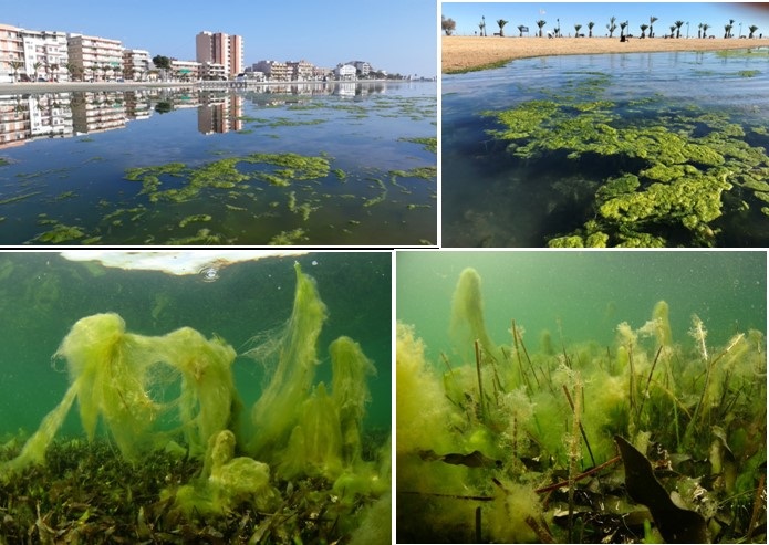 mar menor 01
