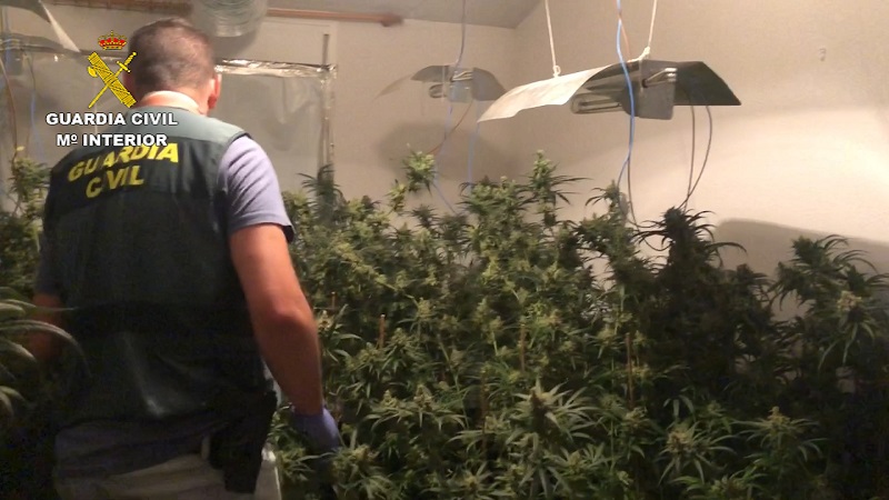 marihuana abril