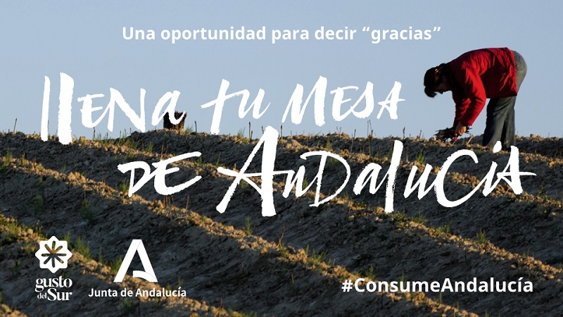mesa
