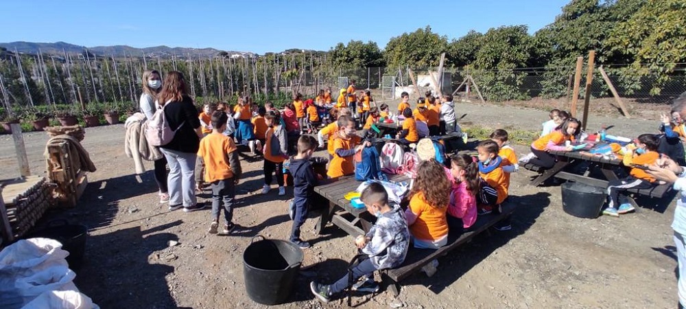 taller semillas