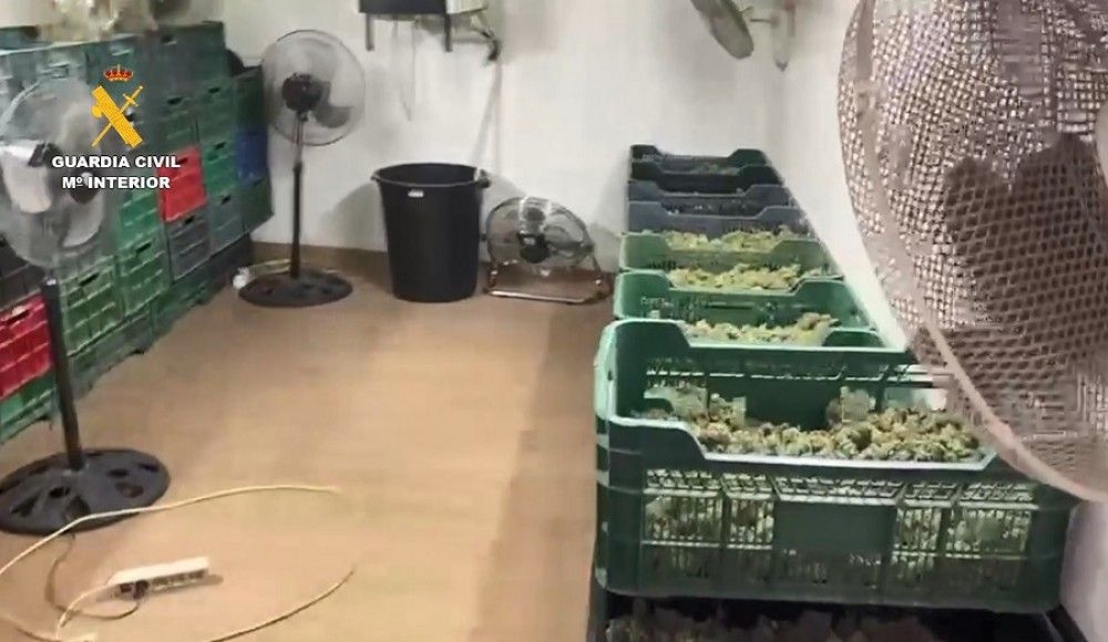 La Guardia Civil detiene a 64 personas pertenecientes a una organización criminal que distribuía grandes cantidades de marihuana por Europa