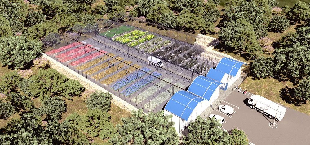 El Ayuntamiento inicia la construcción de un vivero municipal en Las Chapas para autoabastecerse de plantas ornamentales y reducir el gasto en la compra de ejemplares de temporada