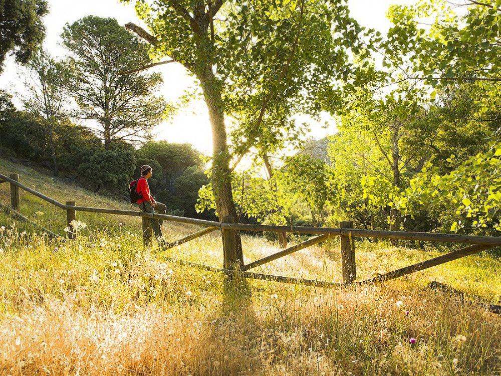 La Costa del Sol afianza la recuperación del turismo nacional en octubre con incrementos respecto a 2019 en los indicadores de turismo rural y campamentos turísticos