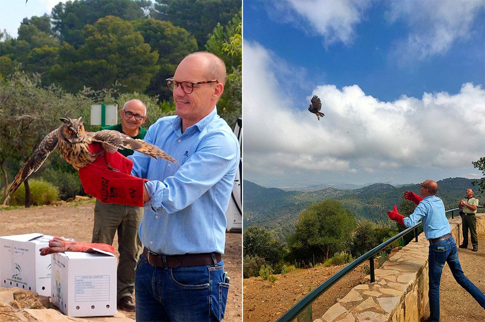 El delegado de Sostenibilidad participa en la suelta de dos búhos en los Montes de Málaga