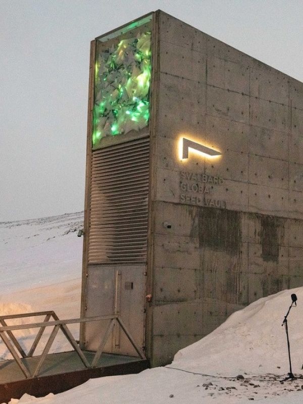 España depositará más de mil semillas en el Banco Mundial de Semillas de Svalbard, el arca de Noé’ vegetal