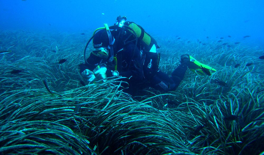 La Consejería de Universidad convoca ayudas por 9,7 millones para desarrollar proyectos de I+D+I en ciencias marinas