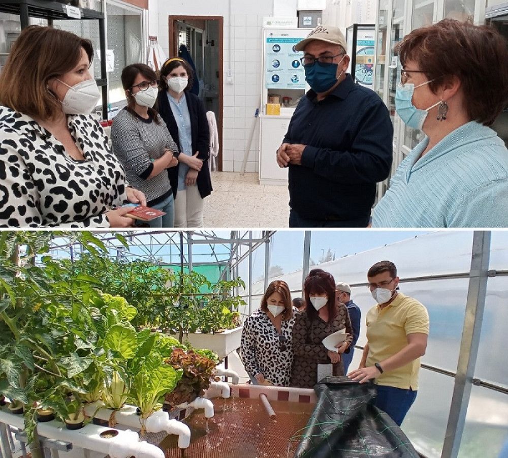 La Noria apoya el proyecto AlgaQua de producción de peces y algas para alimentación, cosmética o farmaceútica como buena práctica sostenible e innovadora
