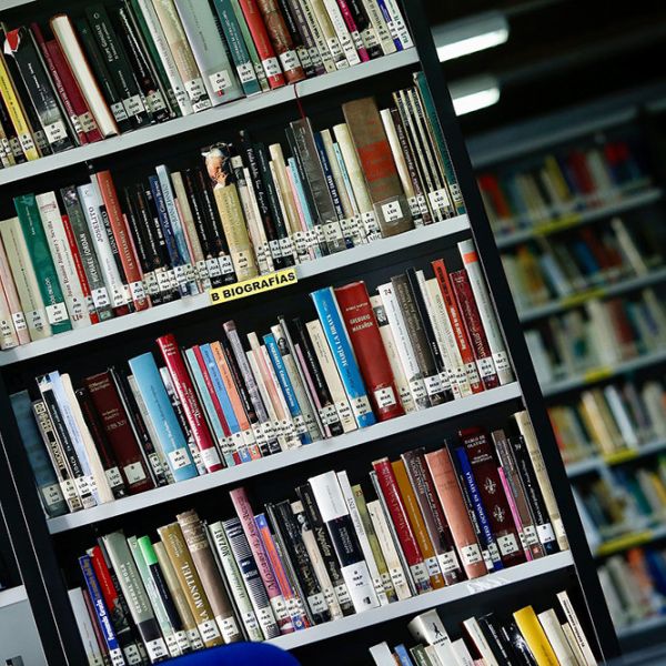 El Ministerio de Cultura premia a 370 bibliotecas municipales en la XXIII Campaña de Animación a la Lectura María Moliner