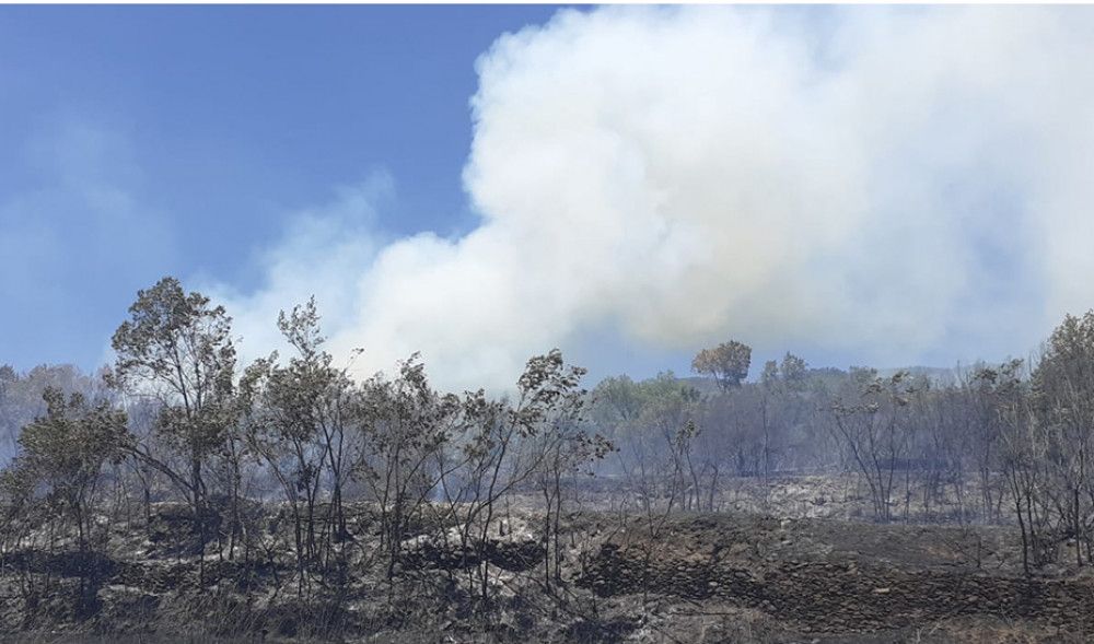 Desactivado el nivel 1 del Plan de Emergencias por Incendios Forestales en Granada por un fuego en La Taha