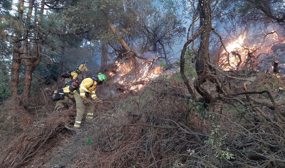 Autorizada la vuelta a casa de los desalojados al quedar estabilizado el incendio de Tarifa