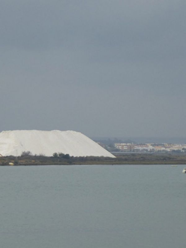 Descubren un microorganismo del río Odiel que descompone el almidón para su aplicación industrial