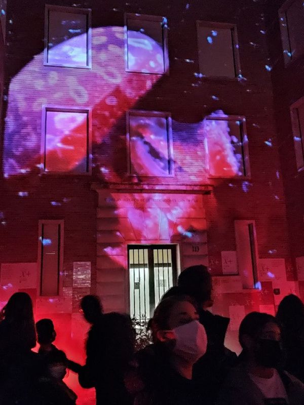 ¿De dónde vino la estrella de Belén? Descúbrelo en el Campus X+ CSIC dedicado a las ciencias navideñas