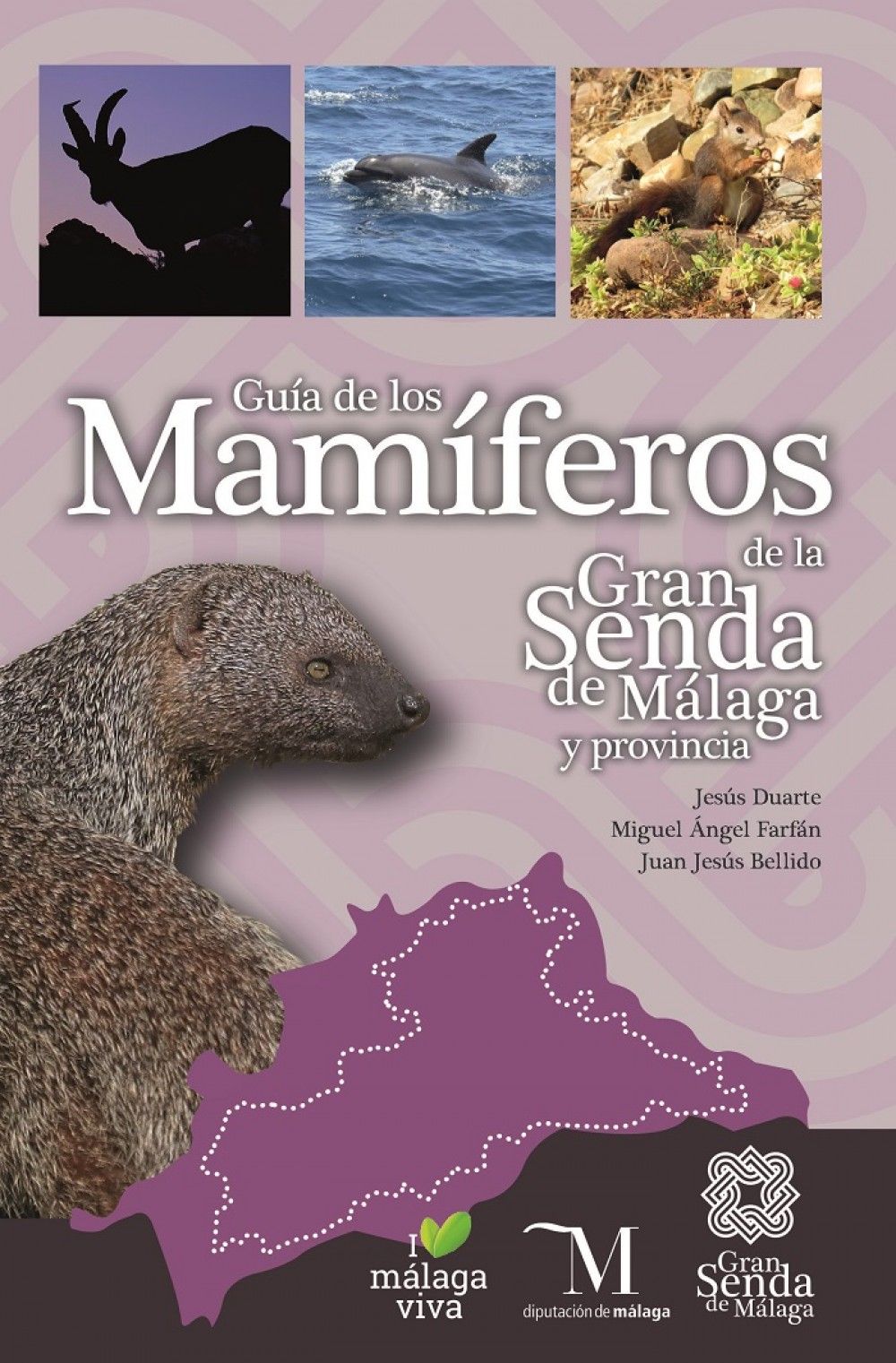 Una guía de la Diputación reúne 52 especies de mamíferos que pueden observarse en la provincia