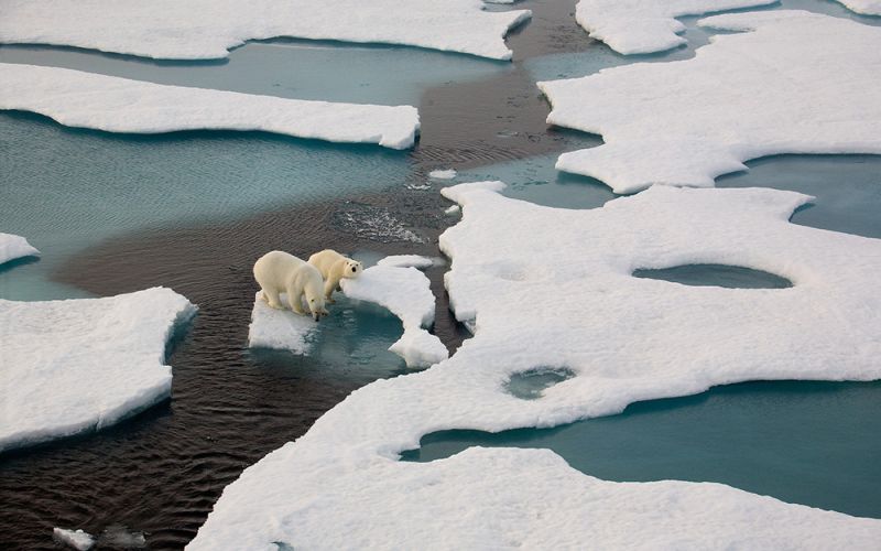 Expertos afirman que las emisiones de efecto invernadero están en su punto más alto y provocan un calentamiento global sin precedentes