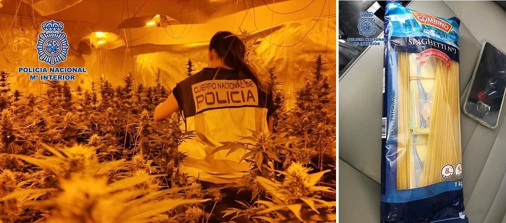Desarticulada una organización criminal dedicada al tráfico internacional de marihuana a gran escala