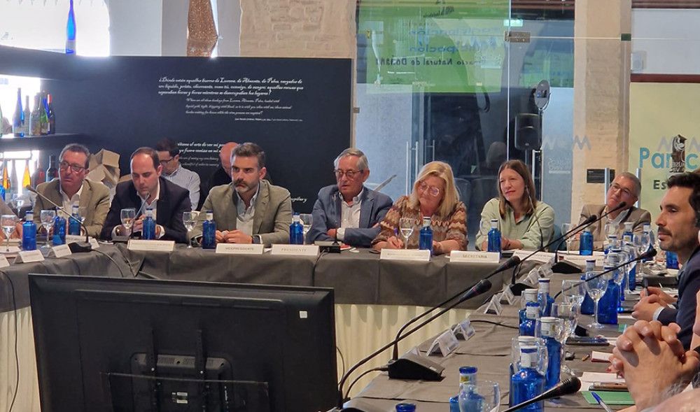 El consejero de Sostenibilidad afirma que no ha visto "ningún interés por parte del Estado" en resolver el problema del regadío en Doñana