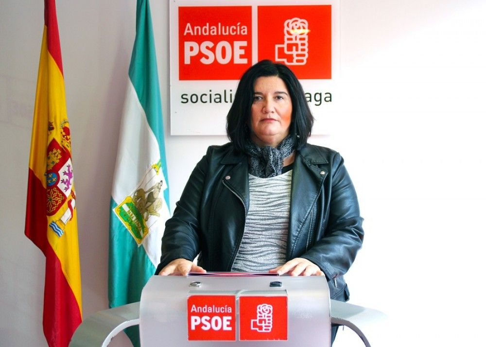 El PSOE propone al Ayuntamiento confeccionar un listado de comercios abiertos y que realizan entregas a domicilio durante esta crisis