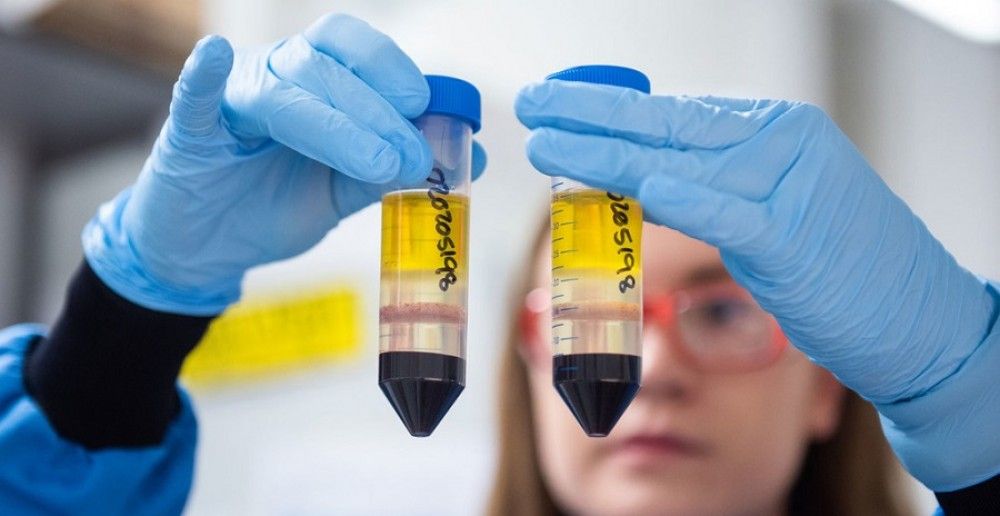 Ocho de cada diez españoles aseguran que se vacunarían del coronavirus si ayudase a proteger a sus mayores