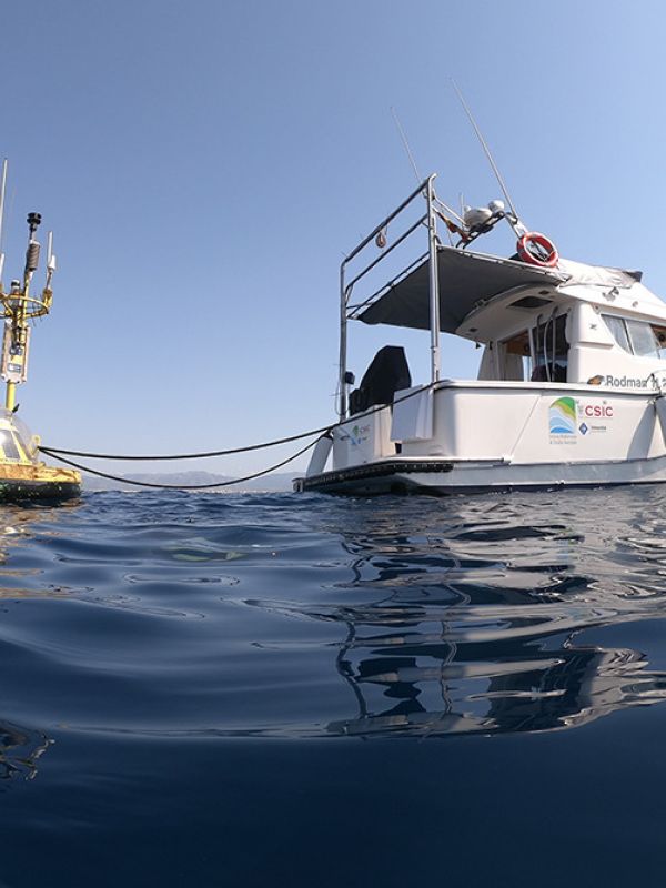Un equipo del CSIC identifica la tendencia de acidificación del mar Balear a través de inteligencia artificial