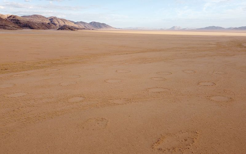Encuentran los misteriosos círculos de hadas en 263 desiertos de todo el mundo
