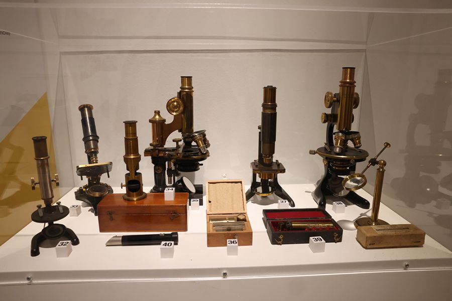 La Diputación colabora con la SEAP para traer a Málaga la exposición ‘Luz y microscopía’