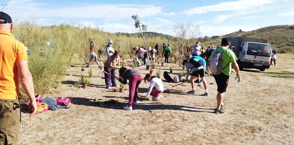 La Diputación finaliza sus arboladas’ de otoño con más de 1.600 ejemplares plantados