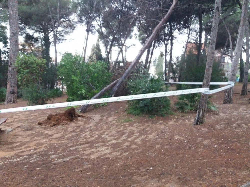 Reabiertos los parques de Nagüeles y Vigil de Quiñones tras las inspecciones y actuaciones realizadas para garantizar la seguridad de los usuarios tras las incidencias por las lluvias y el viento