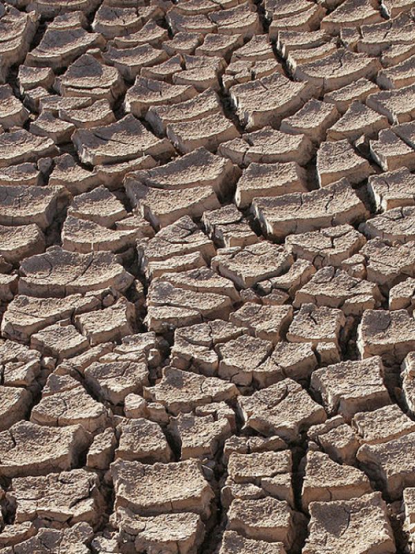 El CIDE cumple 25 años de investigación contra la desertificación y la sequía