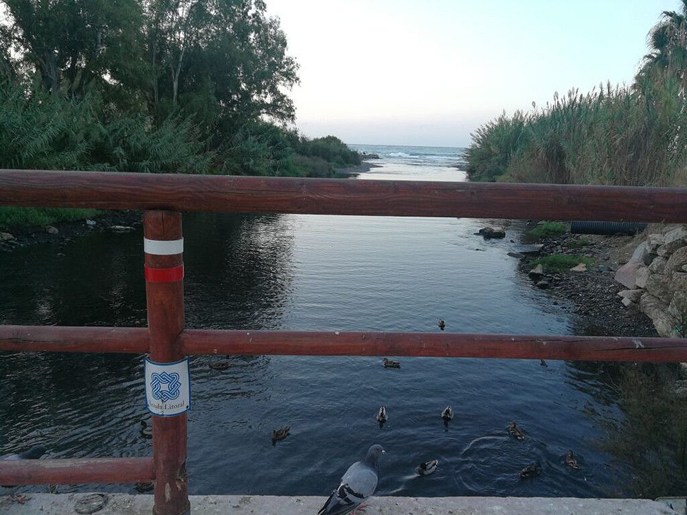 Marbella Activa presenta un estudio medioambiental sobre el estado de conservación de los ríos ZEC de Marbella