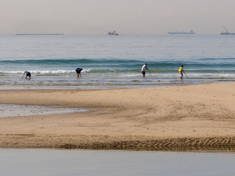 Convocadas las ayudas a los mariscadores de coquina del Golfo de Cádiz por la parada biológica