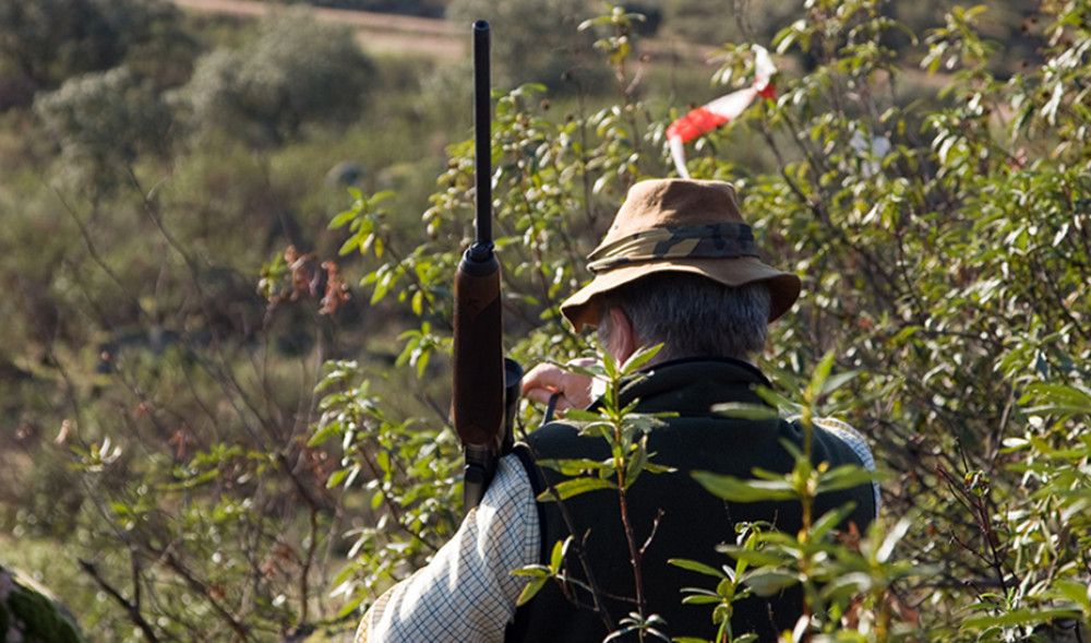 La oferta pública de caza en Andalucía se desarrollará la próxima temporada en 3 reservas y 38 cotos